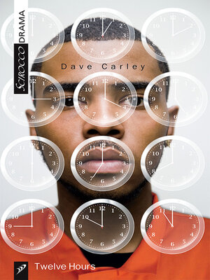 cover image of Twelve Hours